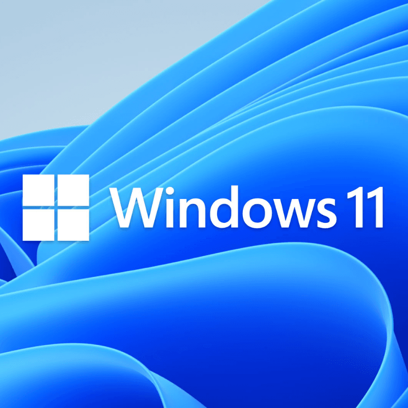 Windows 11 pro