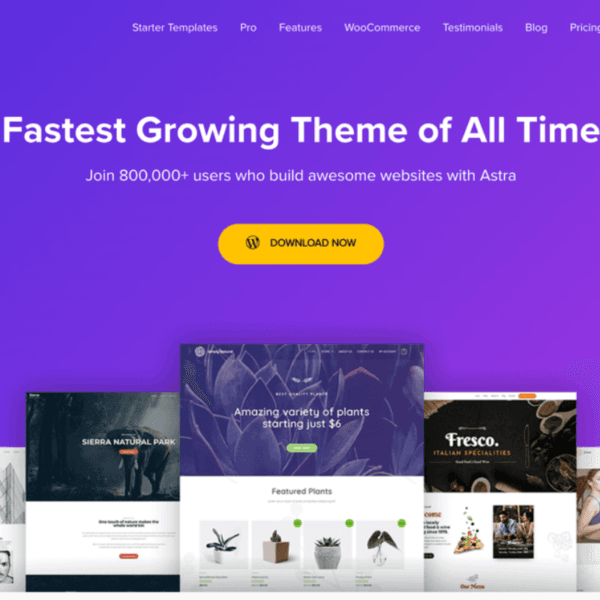 Premium WordPress Theme